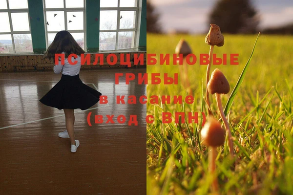 MDMA Premium VHQ Магадан
