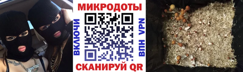 Псилоцибиновые грибы MAGIC MUSHROOMS  наркошоп  Меленки 